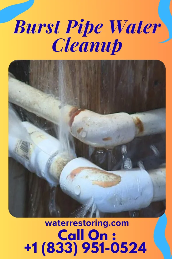 Burst Pipe Water Cleanup in East Sparta, OH