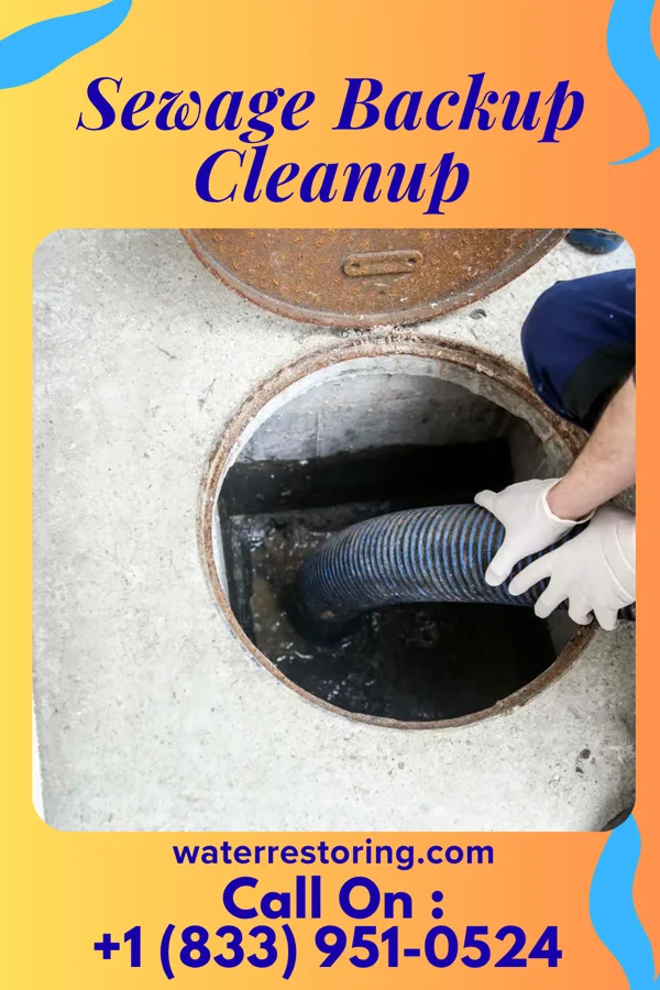 Sewage Backup Cleanup in East Sparta, OH