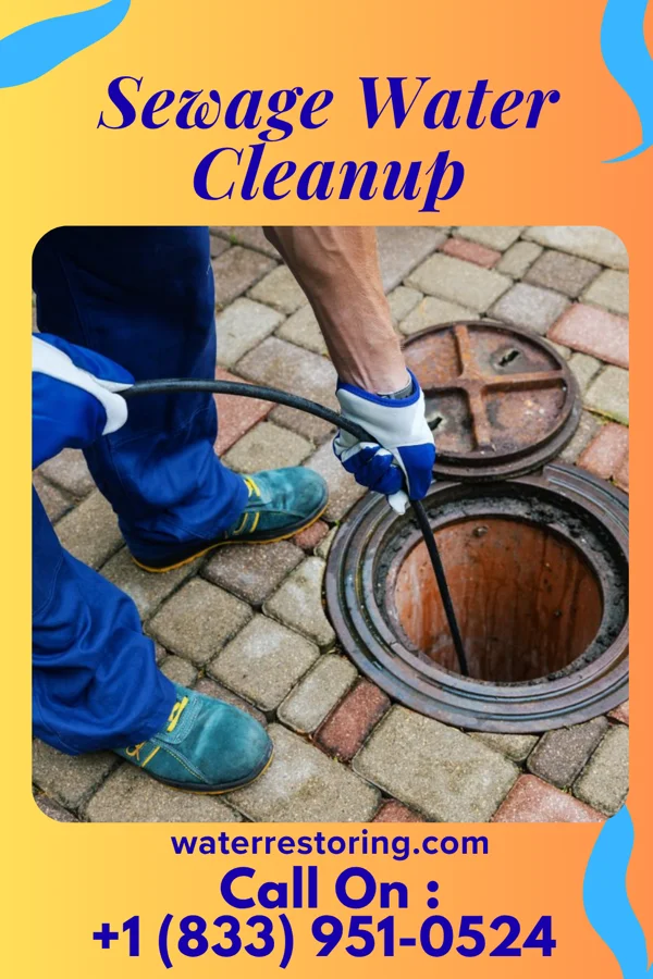 Sewage Water Cleanup in East Sparta, OH